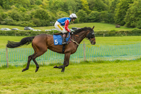 Race 7 - Open Maiden  (21 of 175)