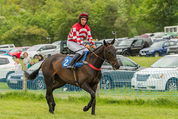 Race 7 - Open Maiden  (22 of 175)