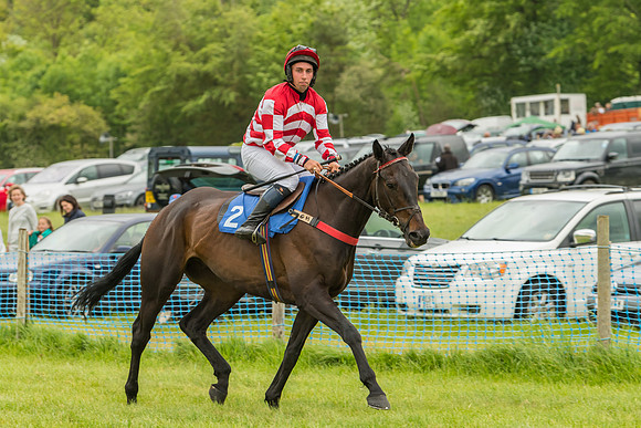 Race 7 - Open Maiden  (23 of 175)