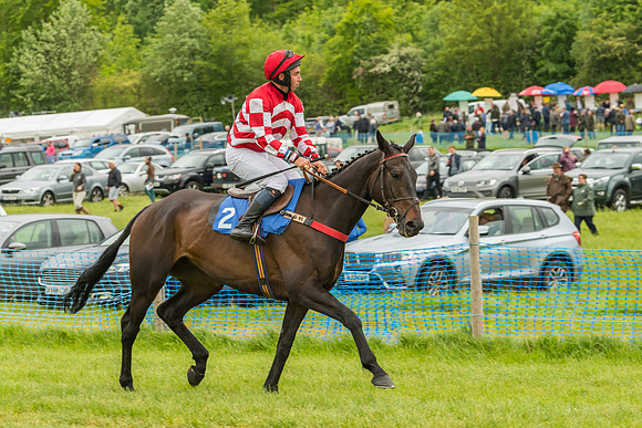Race 7 - Open Maiden  (25 of 175)