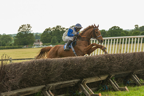 Race 7 - Open Maiden  (102 of 175)