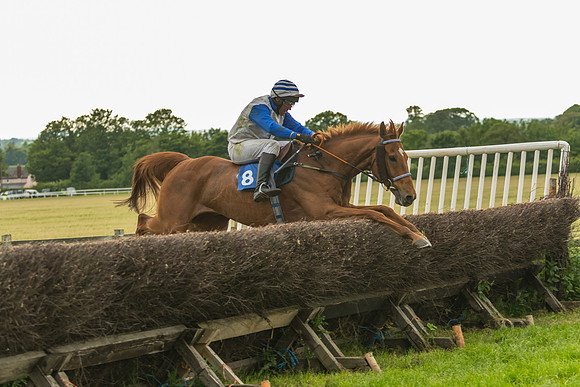 Race 7 - Open Maiden  (103 of 175)
