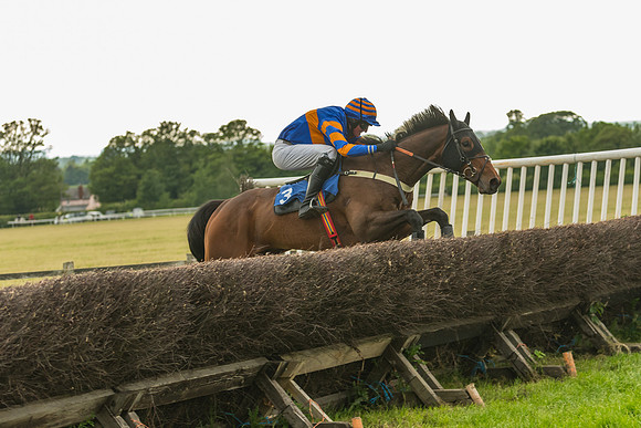 Race 7 - Open Maiden  (116 of 175)