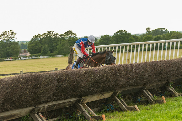 Race 7 - Open Maiden  (121 of 175)