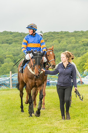 Race 7 - Open Maiden  (131 of 175)