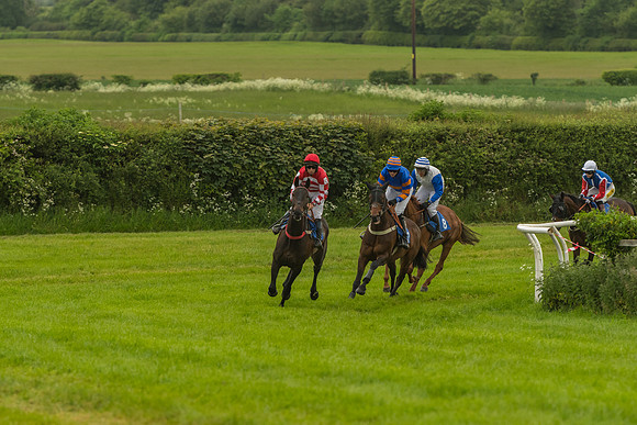 Race 7 - Open Maiden  (37 of 175)