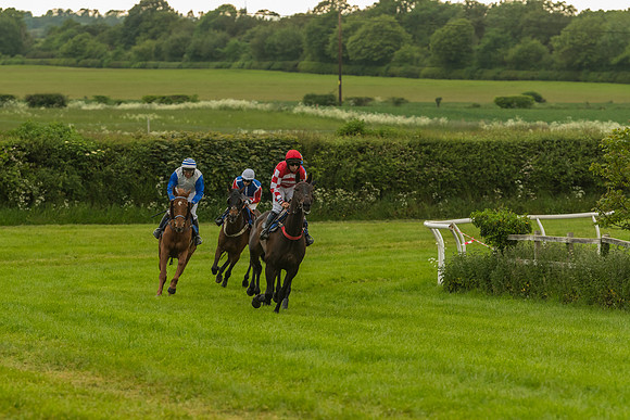 Race 7 - Open Maiden  (38 of 175)