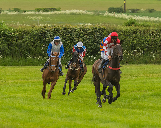 Race 7 - Open Maiden  (39 of 175)