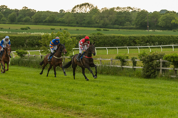 Race 7 - Open Maiden  (40 of 175)
