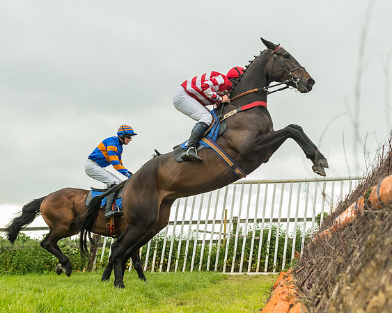 Race 7 - Open Maiden  (44 of 175)