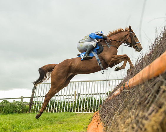 Race 7 - Open Maiden  (47 of 175)