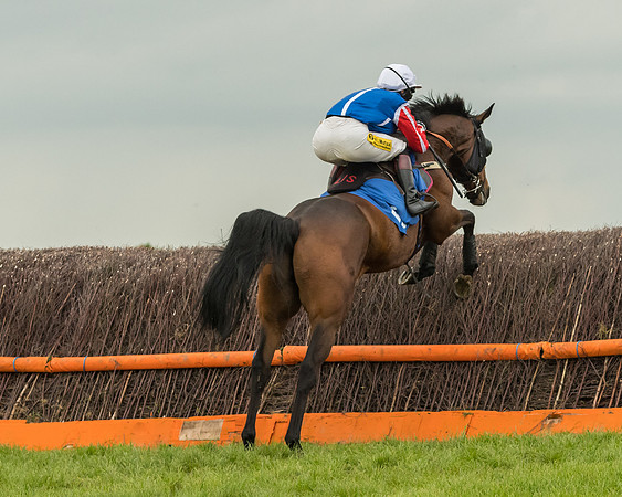 Race 7 - Open Maiden  (61 of 175)
