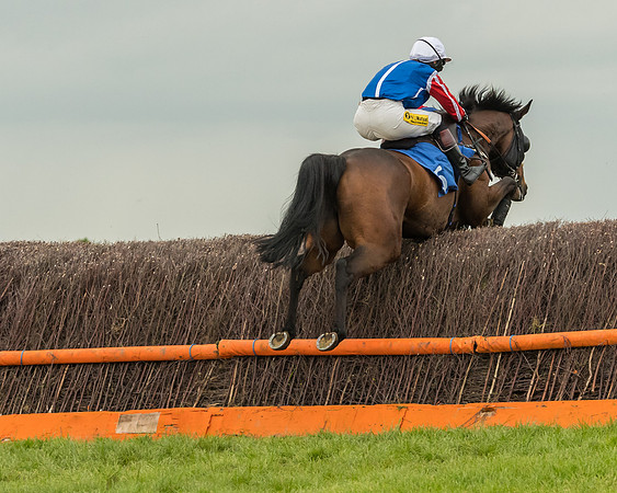 Race 7 - Open Maiden  (62 of 175)