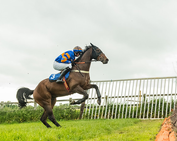 Race 7 - Open Maiden  (67 of 175)