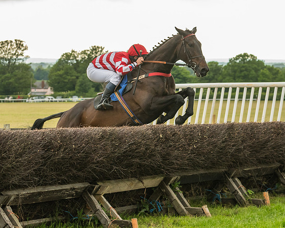 Race 7 - Open Maiden  (76 of 175)
