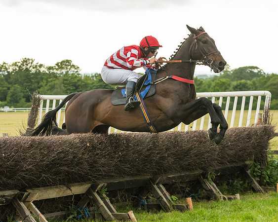 Race 7 - Open Maiden  (77 of 175)