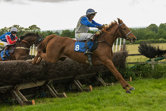 Race 7 - Open Maiden  (82 of 175)