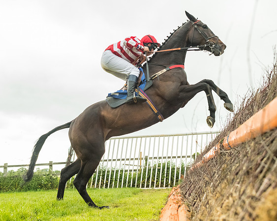 Race 7 - Open Maiden  (87 of 175)