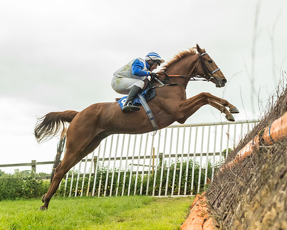 Race 7 - Open Maiden  (95 of 175)