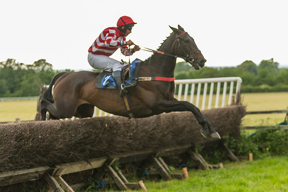 Race 7 - Open Maiden  (96 of 175)