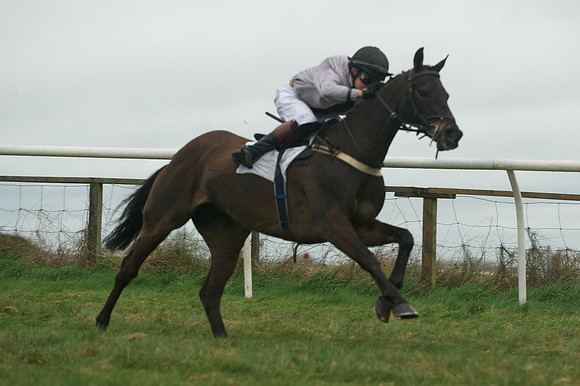 Race 8 - Pony Race 2 -  22