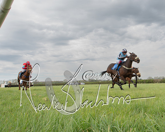 Pony Race 2 (50 of 84)-