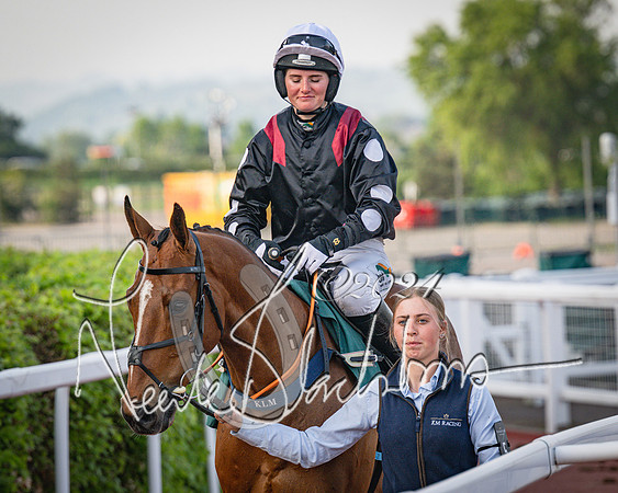 Race 4 - The Jonathan Neesom memorial open Hunter’s steeplechase 3m2f 70y (19 of 167)