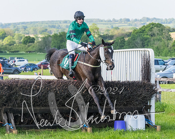 Race 7 - Veteran Horse (150 of 246)