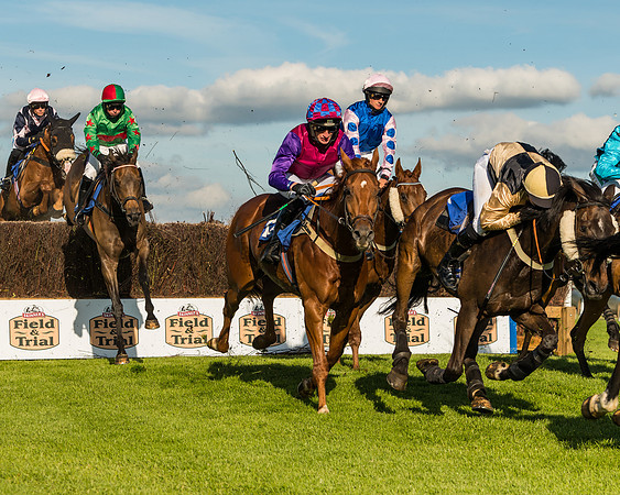 Race 2 - Sheldon Bosley Knight 2 mile 1f HC (26 of 80)-2