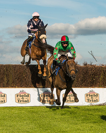 Race 2 - Sheldon Bosley Knight 2 mile 1f HC (27 of 80)-3