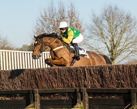 Race 2 - PPORA Novice Riders  (116 of 205)