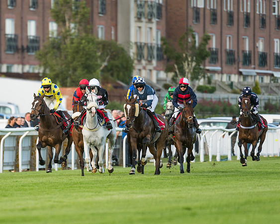 Race 4 - Skinners Ladies Open Final (28 of 106)