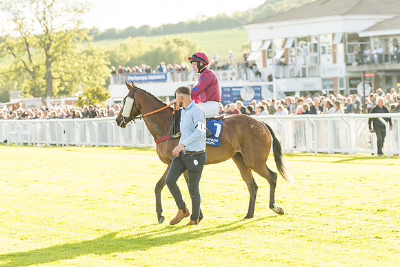 Race 5 - Pretemps Network Stratford Foxhunters (2 of 83)