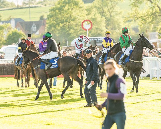 Race 5 - Pretemps Network Stratford Foxhunters (7 of 83)