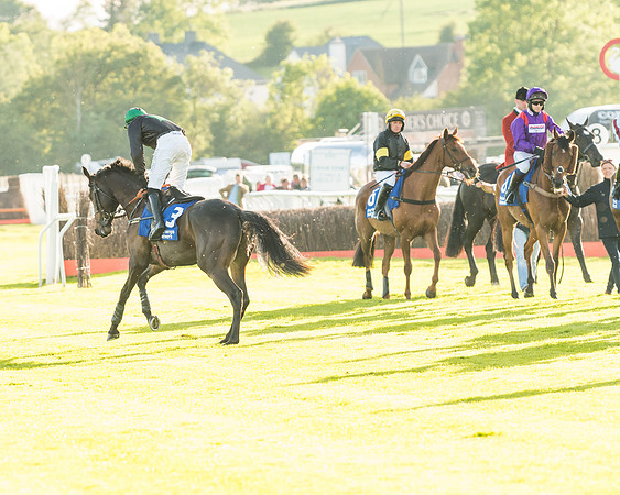 Race 5 - Pretemps Network Stratford Foxhunters (9 of 83)