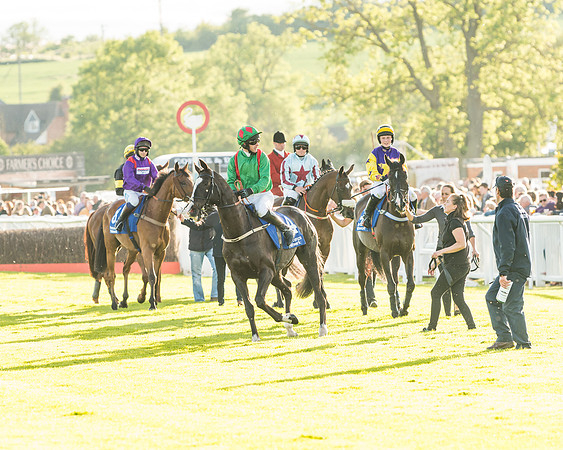 Race 5 - Pretemps Network Stratford Foxhunters (11 of 83)