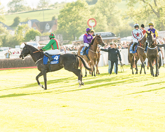 Race 5 - Pretemps Network Stratford Foxhunters (13 of 83)