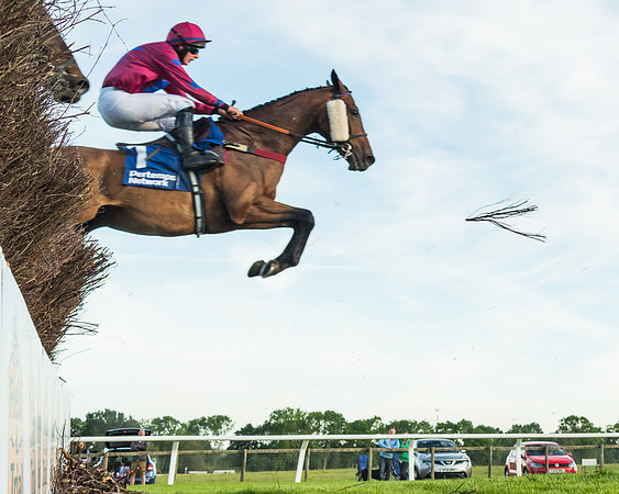 Race 5 - Pretemps Network Stratford Foxhunters (16 of 83)