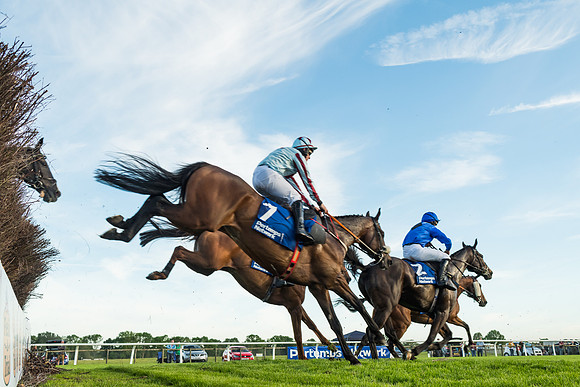 Race 5 - Pretemps Network Stratford Foxhunters (19 of 83)