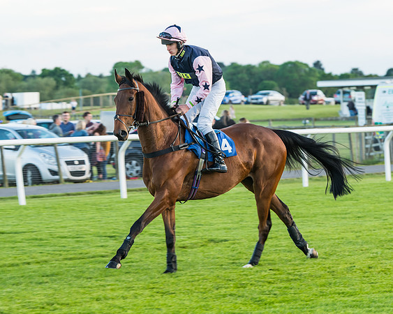 Race 6 - White Swan Handicap HC (1 of 69)