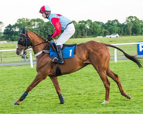 Race 6 - White Swan Handicap HC (11 of 69)