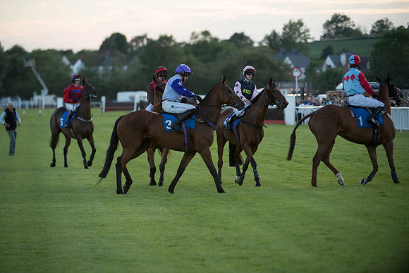 Race 6 - White Swan Handicap HC (22 of 69)