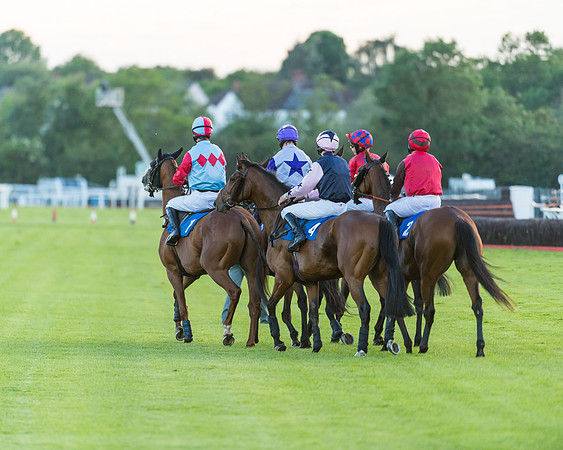 Race 6 - White Swan Handicap HC (23 of 69)