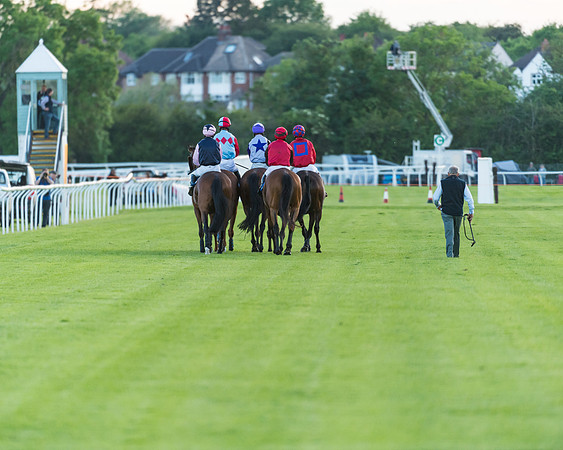 Race 6 - White Swan Handicap HC (24 of 69)
