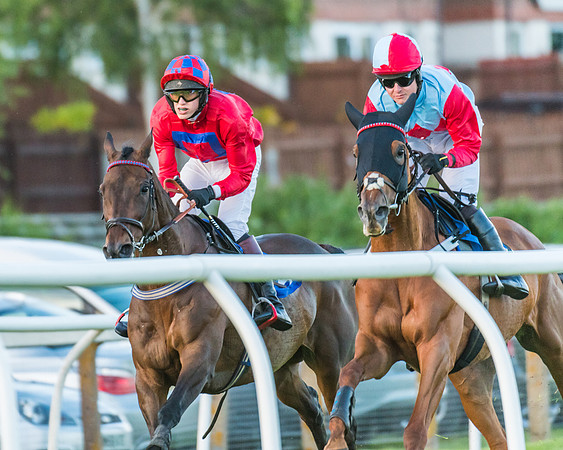 Race 6 - White Swan Handicap HC (30 of 69)