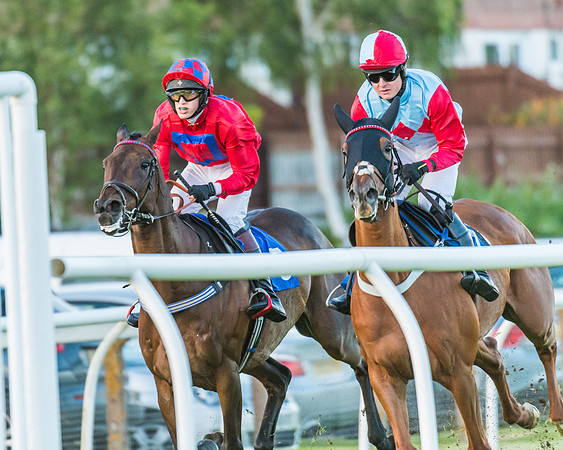 Race 6 - White Swan Handicap HC (31 of 69)