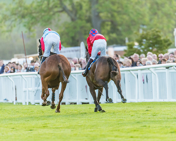 Race 6 - White Swan Handicap HC (36 of 69)