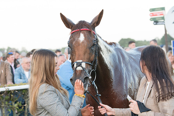 Race 6 - White Swan Handicap HC (58 of 69)