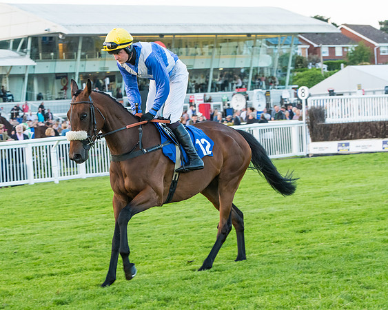 Race 7 - ITM Championship Bumper (4 of 61)