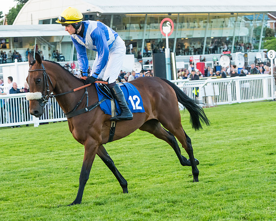 Race 7 - ITM Championship Bumper (5 of 61)